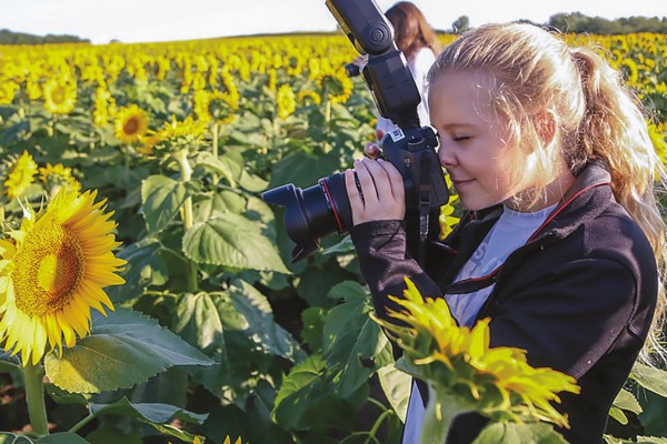 A student photographs a sunflower in sunflower field
