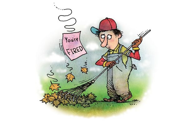 Cartoon of a man raking while getting a firing notice