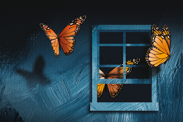 Butterflies near window