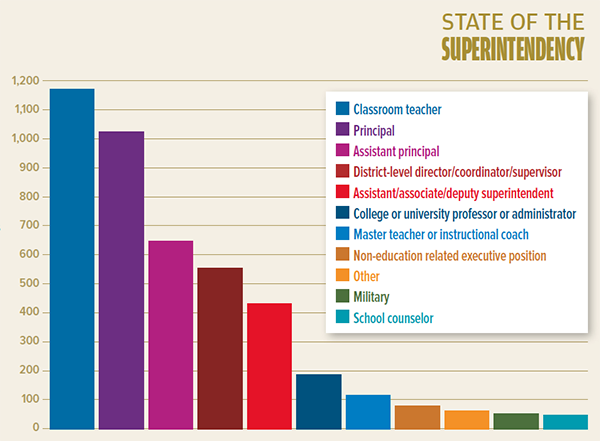 Professional Experiences
