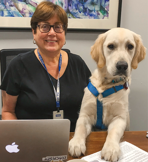 A White woman with short brown hair wearing a black top with a light colored puppy wearing a blue harness on the desk