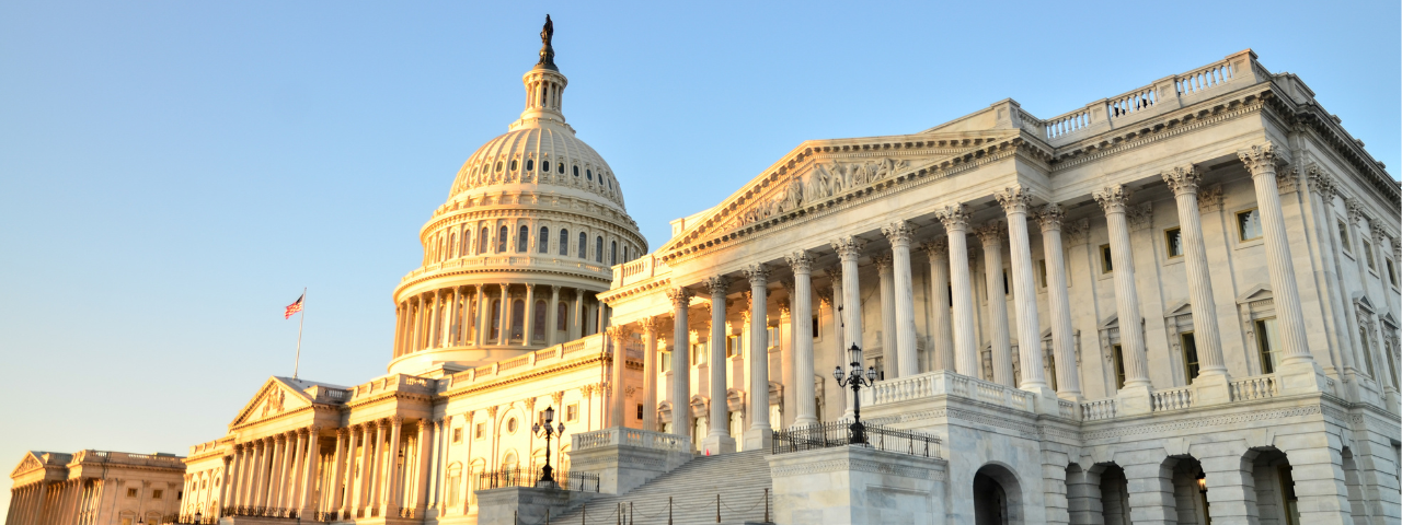 Capitol Building in Washington, DC